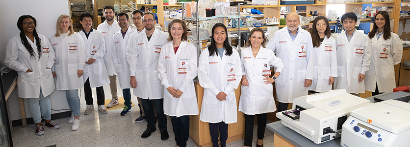 Inflammatory and Metabolic Pathways in Cancer Lab Team