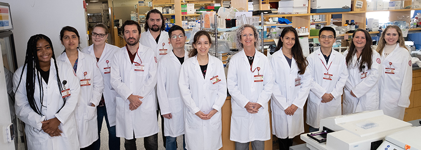 Laboratory of Epigenetics and Genomic Integrity Team