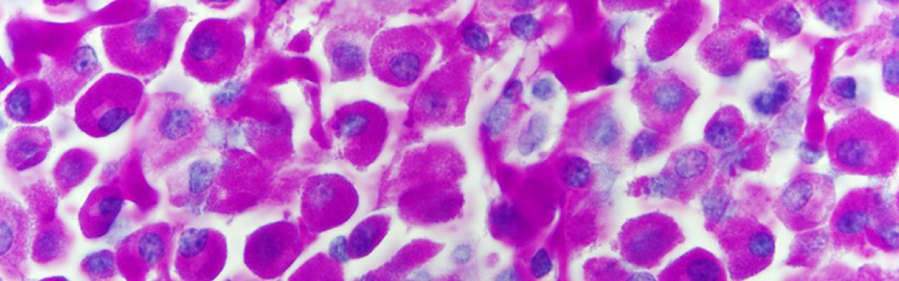 derm cells pink